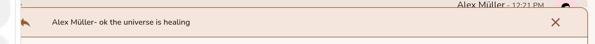The reply preview shown above the input field after choosing Reply on a message